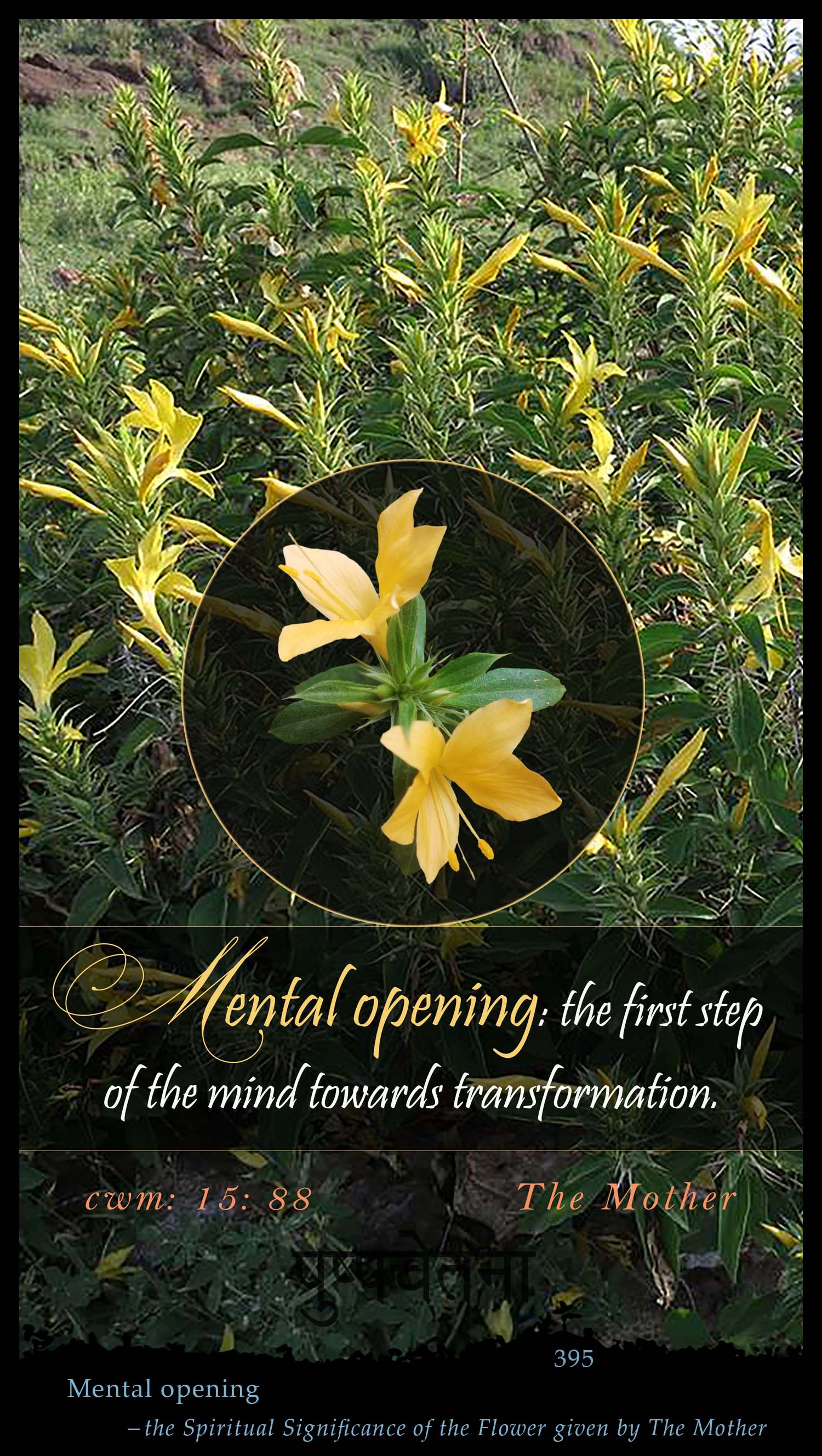 Mental Opening